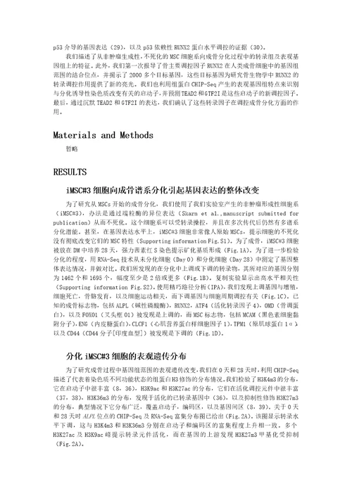 成骨细胞分化调控概览