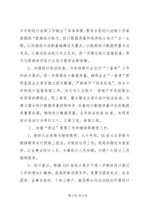 乡镇年度统计法制工作总结.docx