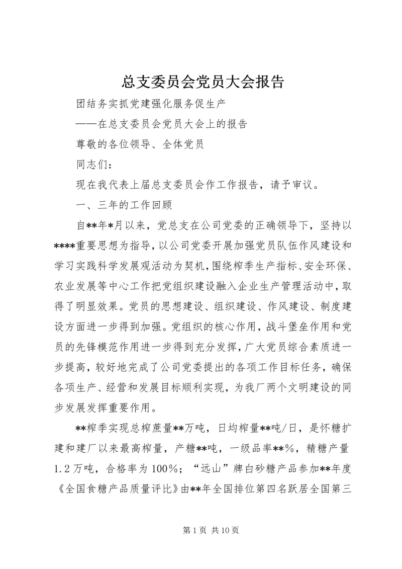 总支委员会党员大会报告.docx