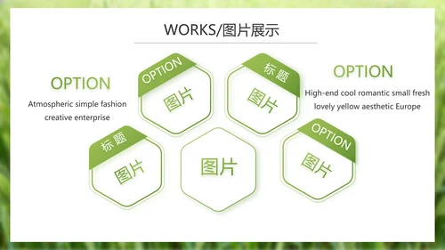绿色农产品介绍宣传动态PPT模板