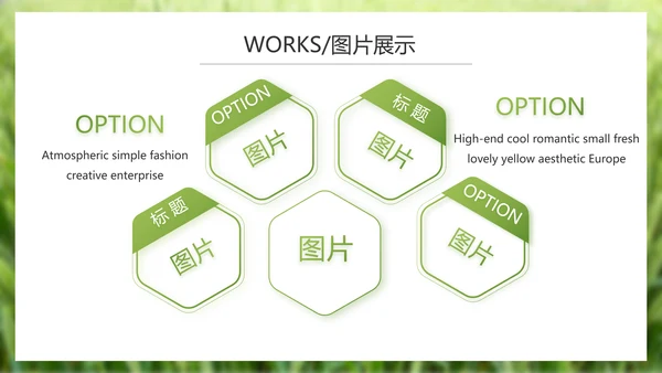 绿色农产品介绍宣传动态PPT模板