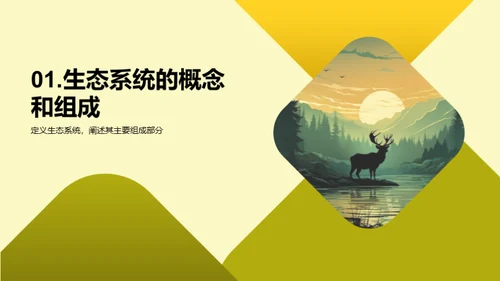 生态系统：守护生物多样性