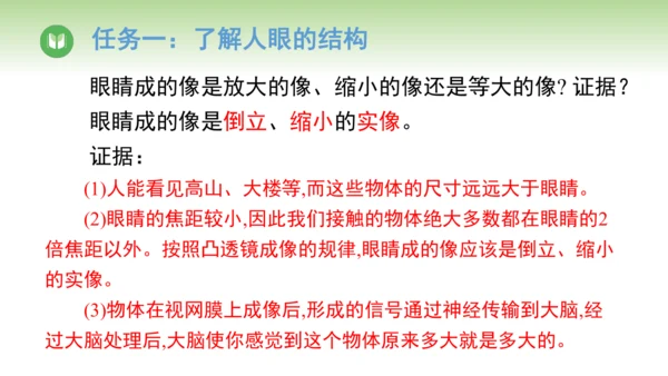 2024-2025学年人教版物理八年级上册5.4 眼睛和眼镜课件（24页ppt）