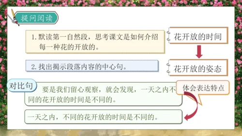 【核心素养】部编版语文三年级下册-13. 花钟 第2课时（课件）