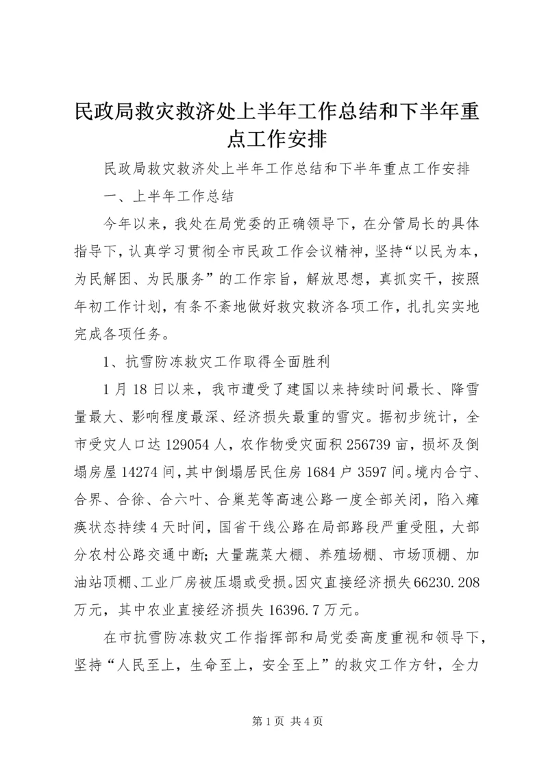 民政局救灾救济处上半年工作总结和下半年重点工作安排 (3).docx