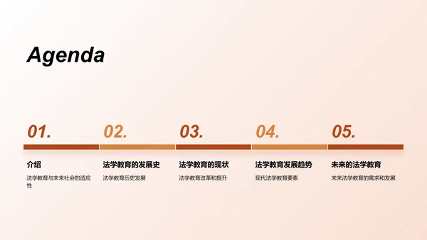 棕色现代法学类专业通用PPT模板