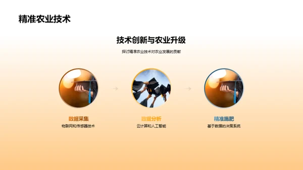 农业发展的未来视角