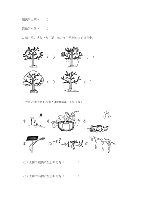 教科版二年级上册科学期末测试卷（突破训练）.docx