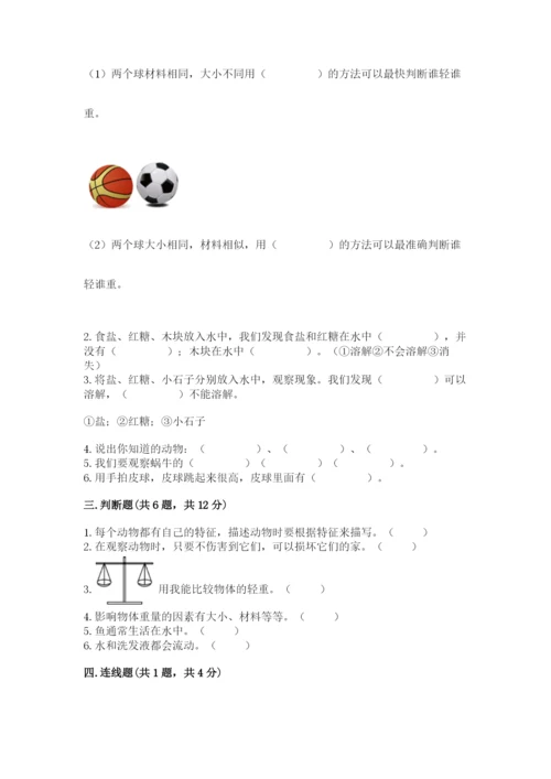 教科版一年级下册科学期末测试卷及参考答案【培优a卷】.docx