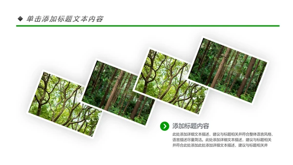 绿色环保森林生态文明建设森林日环保PPT模板
