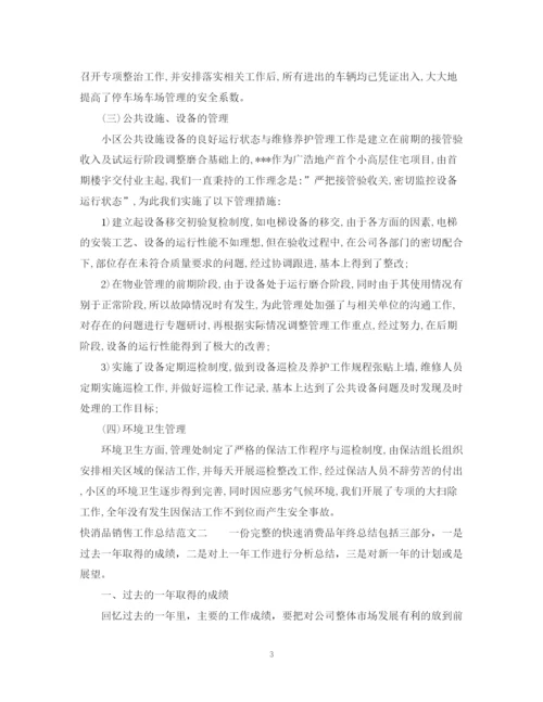 精编之快消品销售工作总结范文.docx