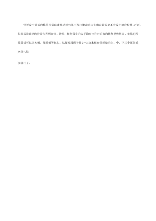 2023年吊篮应急预案.docx