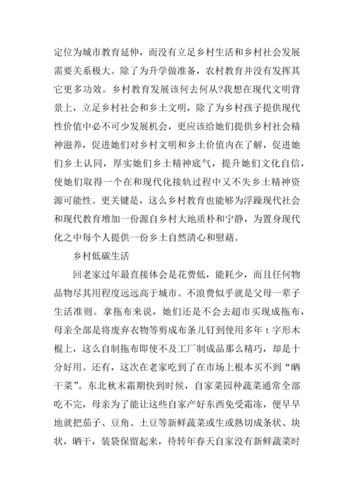 个人春节回乡调研研究报告.docx