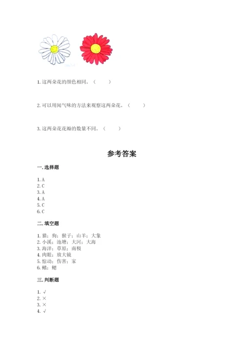 教科版小学科学一年级下册期末测试卷【培优】.docx