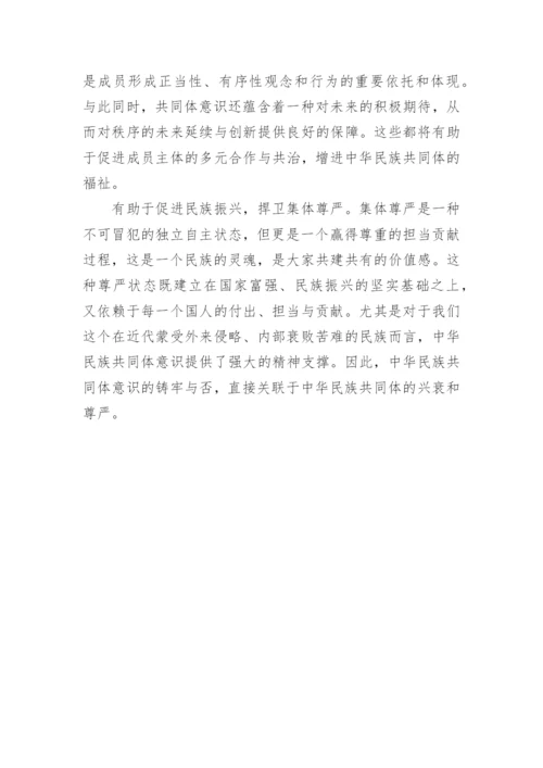 铸牢中华民族共同体意识心得体会范文.docx