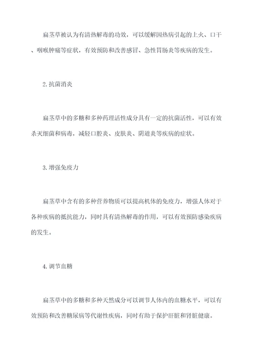 扁劲草功效与作用