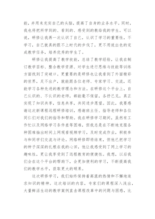 高中教师个人研修总结.docx