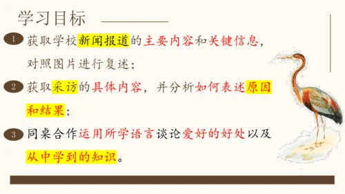 Unit 2 More than fun Developing ideas（教学课件）-2024-2