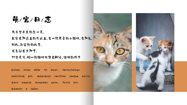 简约宠物萌宠画册电子相册通用PPT模板