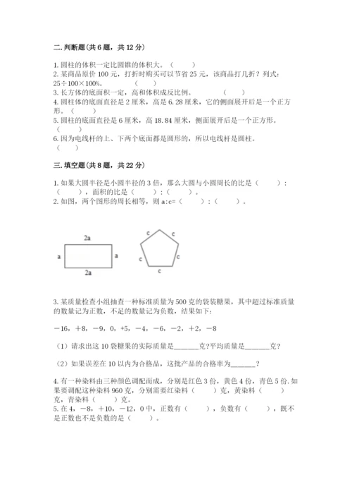 驻马店市确山县六年级下册数学期末测试卷及参考答案一套.docx