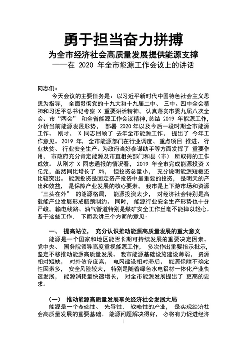 勇于担当奋力拼搏市能源工作会议上的讲话