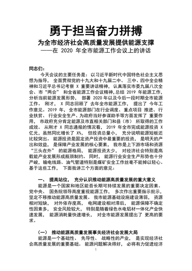 勇于担当奋力拼搏市能源工作会议上的讲话