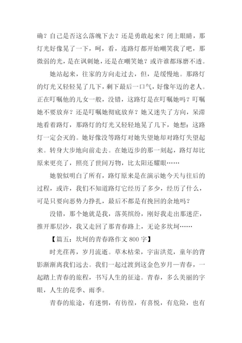 坎坷的青春路作文800字.docx