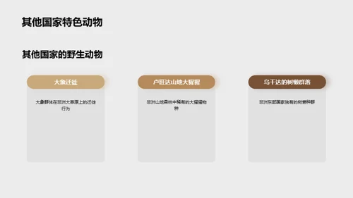 探索非洲野生动物之旅