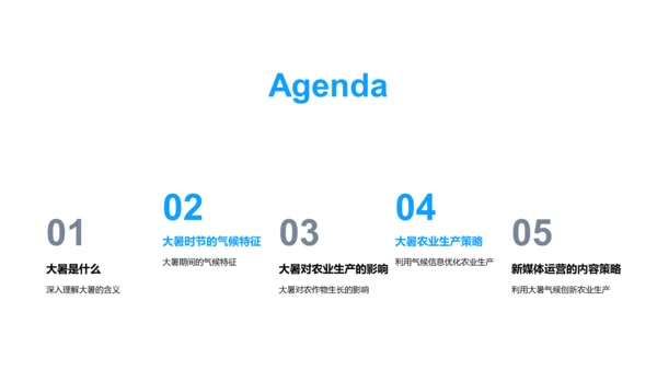 大暑农业生产