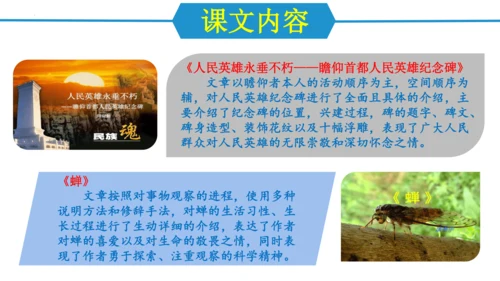 第五单元（单元复习课件）-八年级语文上册同步备课系列（统编版）(共37张PPT)