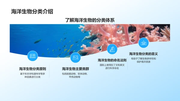 蓝色摄影风海洋生物知识科普PPT模板