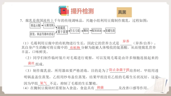 人教版生物八年级上册2.3 细菌、真菌和病毒 本章复习课件(共23张PPT)+视频素材