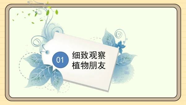 统编版语文三年级下册2024-2025学年度第一单元习作：我的植物朋友（课件）