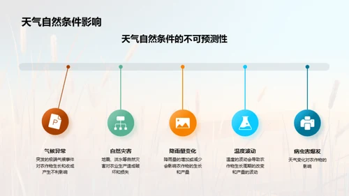 农业收益全解析