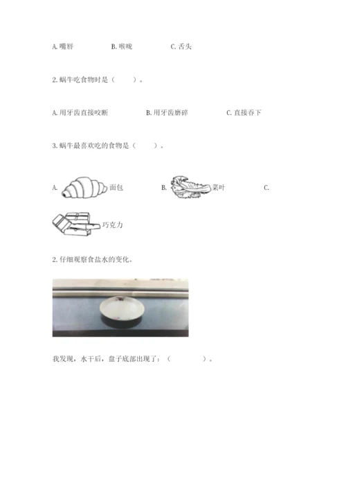 教科版一年级下册科学期末测试卷带答案（最新）.docx