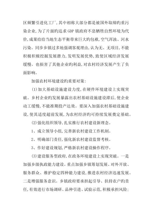 乡镇调研报告.docx