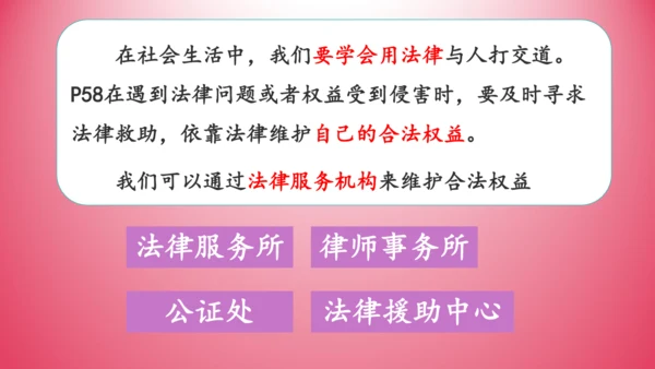 5.3 善用法律 课件