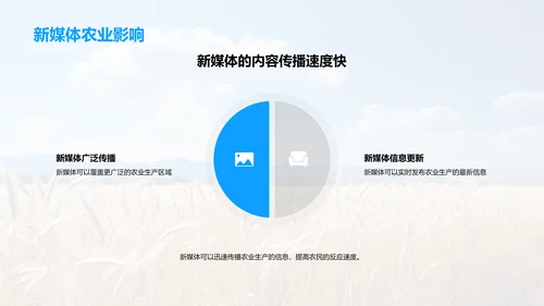 大暑农业生产
