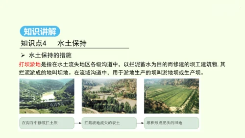 6.3 世界最大的黄土堆积区——黄土高原 第2课时 严重的水土流失 水土保持（课件29张）- 人教版
