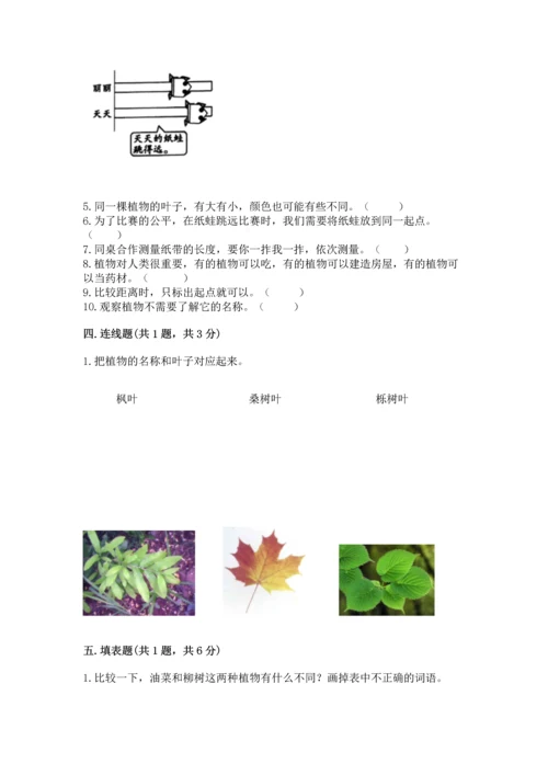 教科版科学一年级上册期末测试卷附下载答案.docx