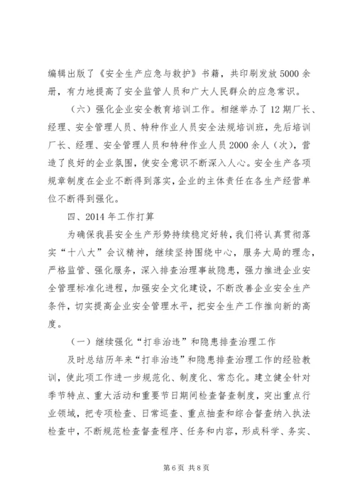 县安全生产监督管理局安全生产工作报告.docx