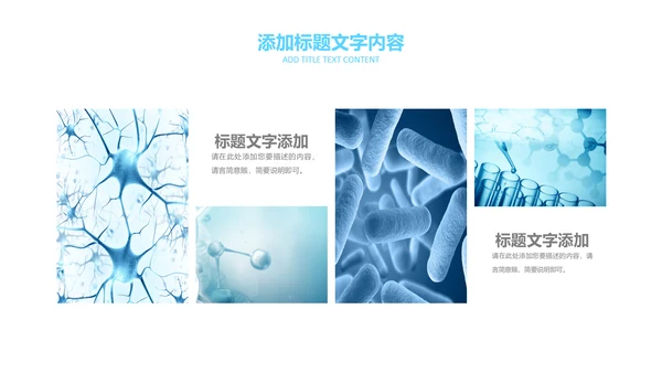 医疗细菌病毒微生物细胞组织动态ppt模板