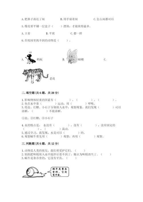 教科版小学科学一年级下册期末测试卷含答案（培优b卷）.docx