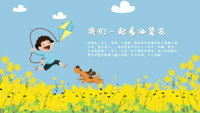 我们一起看油菜花幼儿教育通用PPT课件