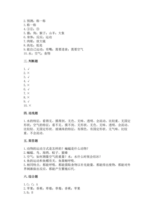 教科版一年级下册科学期末测试卷（全优）.docx