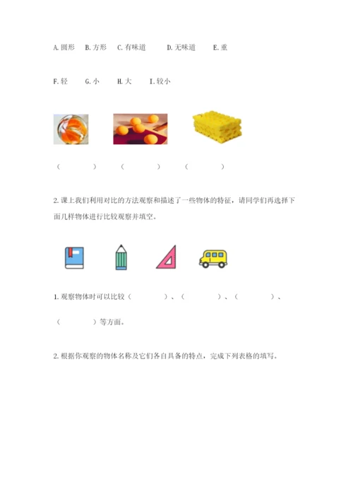 教科版小学科学一年级下册期末测试卷精品有答案.docx
