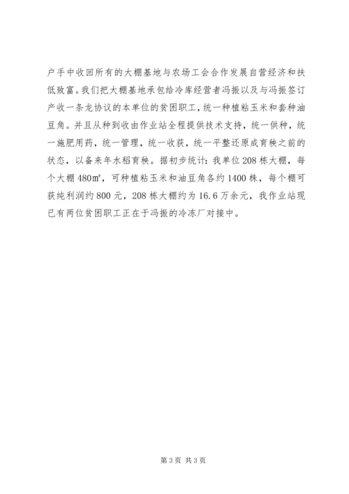 大棚基地汇报材料.docx
