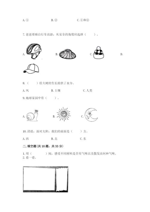 教科版科学二年级上册期末测试卷【模拟题】.docx