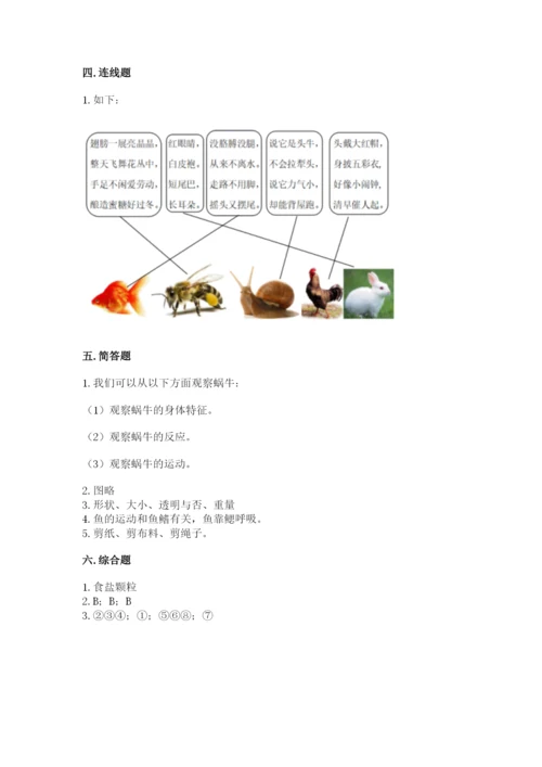 教科版一年级下册科学期末测试卷及参考答案（轻巧夺冠）.docx