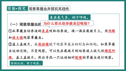 第一单元第三章从细胞到生物体（复习课件）-七年级生物上册同步教学精制课件（人教版2024）(共44张